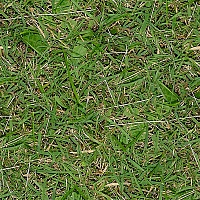 бесшовные текстуры травы